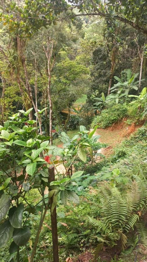 Rota Do Beija Flor Pacoti-ce Campsite
